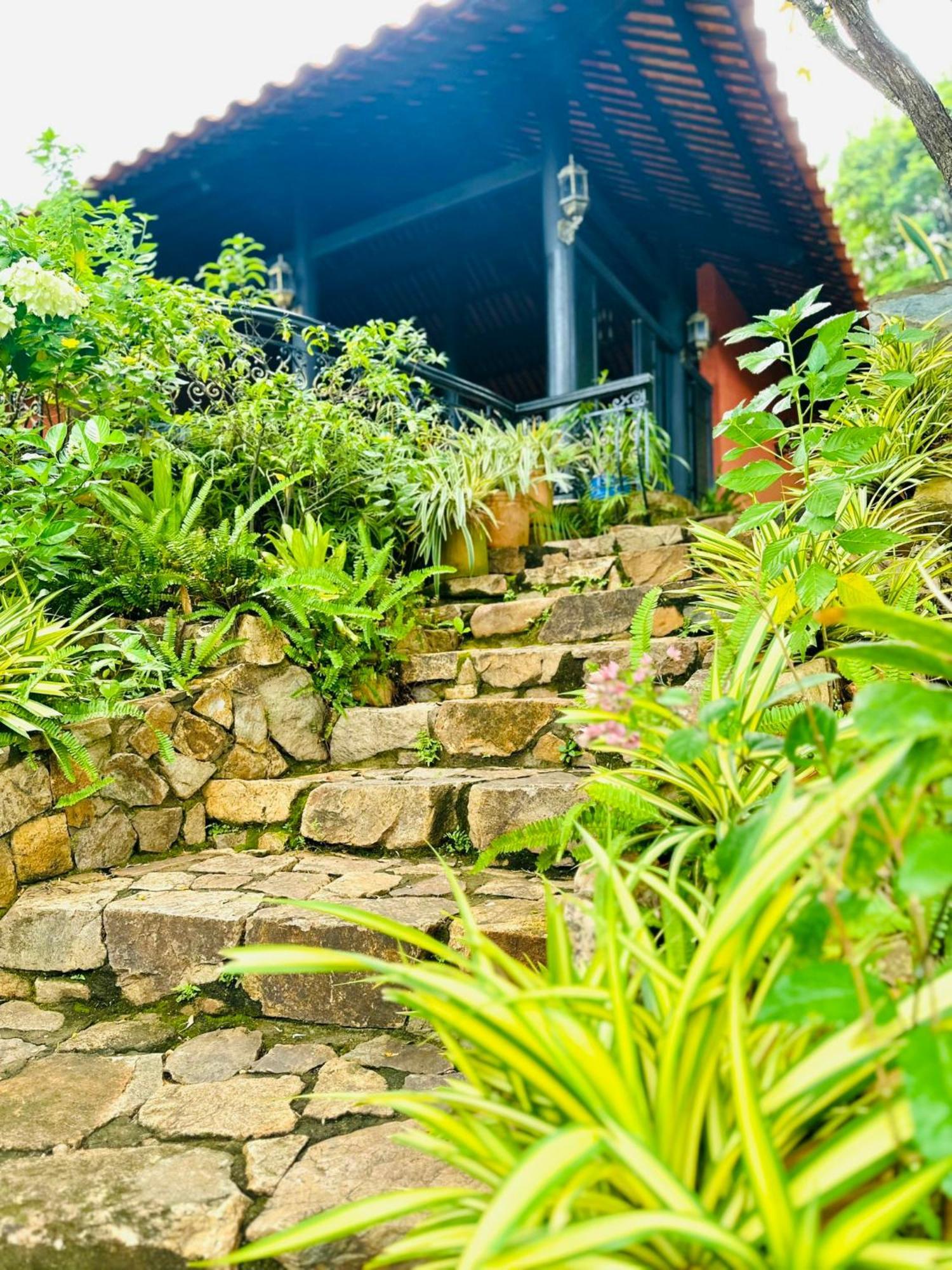 Binh An Village Vung Tau Esterno foto